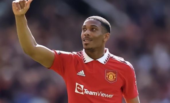 这一发现不 这一发现不